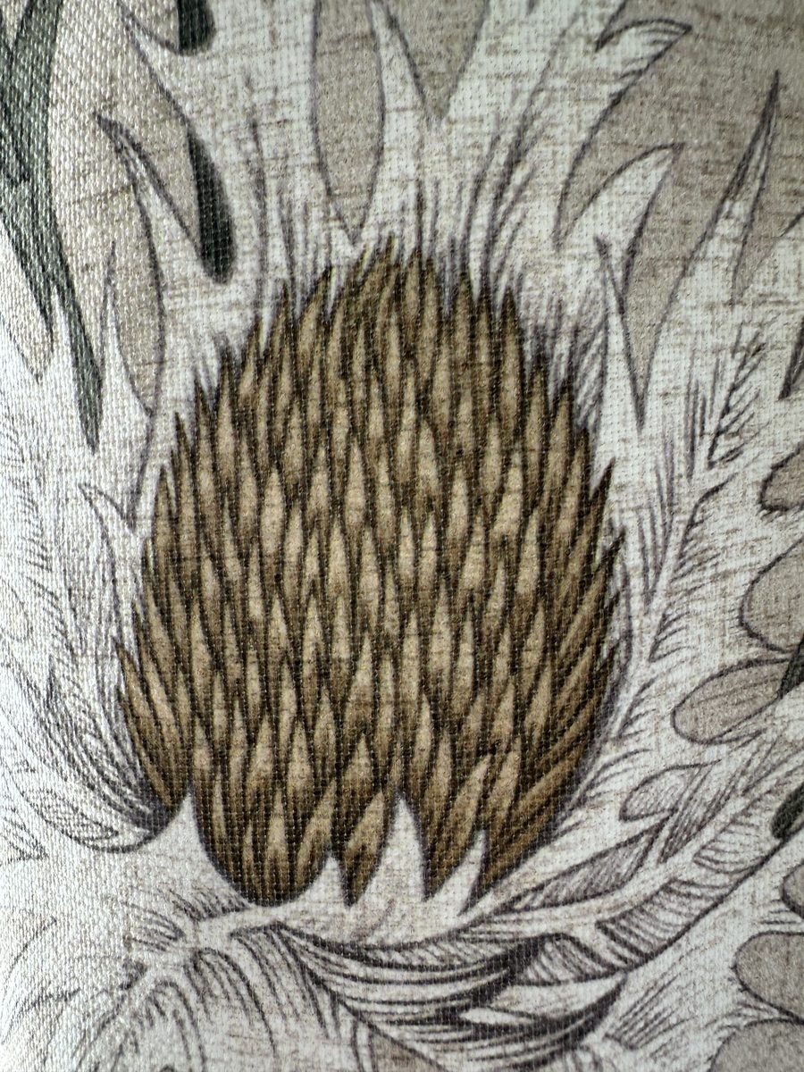 The Moselle, a thistle print