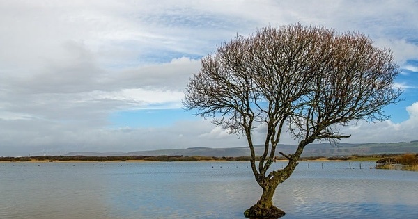 Kenfig National Nature Reserve