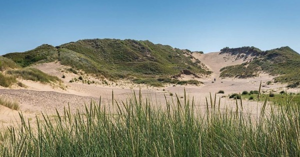 Merthyr Mawr Sand Dunes